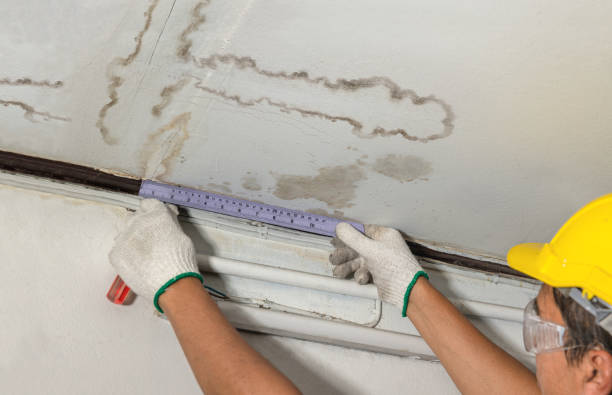 Reliable Water Damage contractor in Dublin, NH by Water Damage Irwin